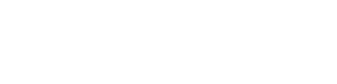 Logo Newnet